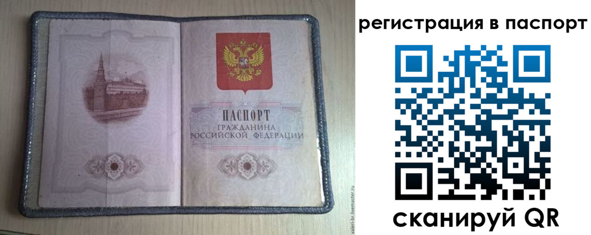 прописка штамп в Светлограде